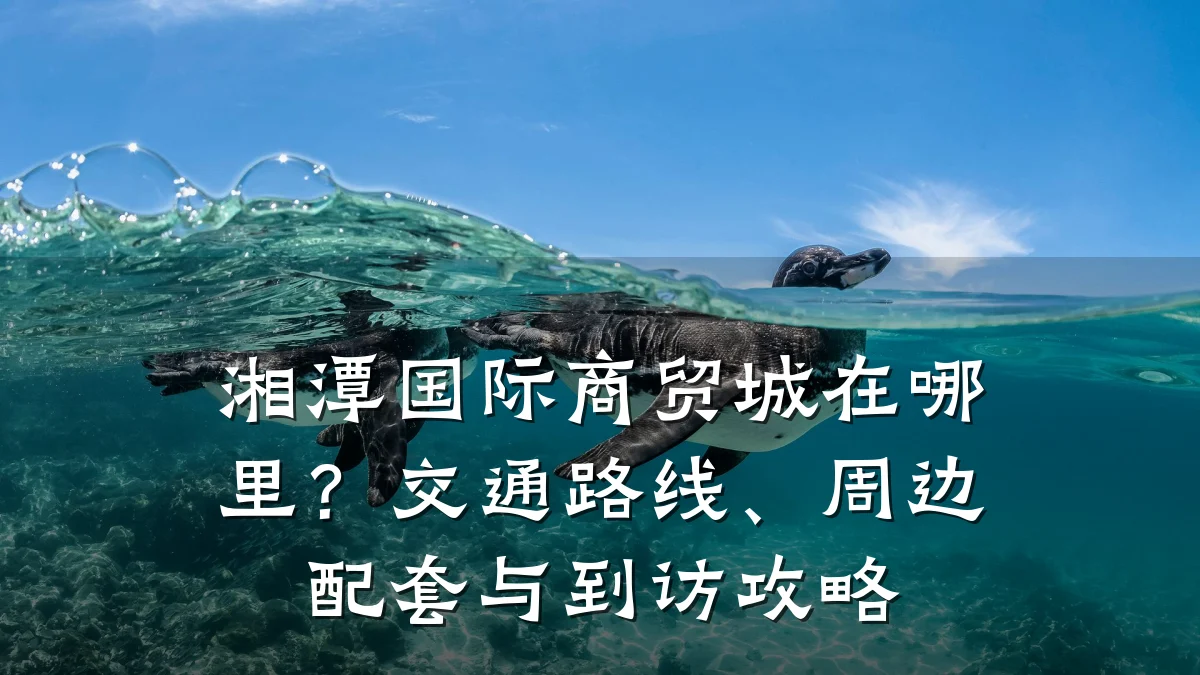 湘潭国际商贸城在哪里?交通路线、周边配套与到访攻略