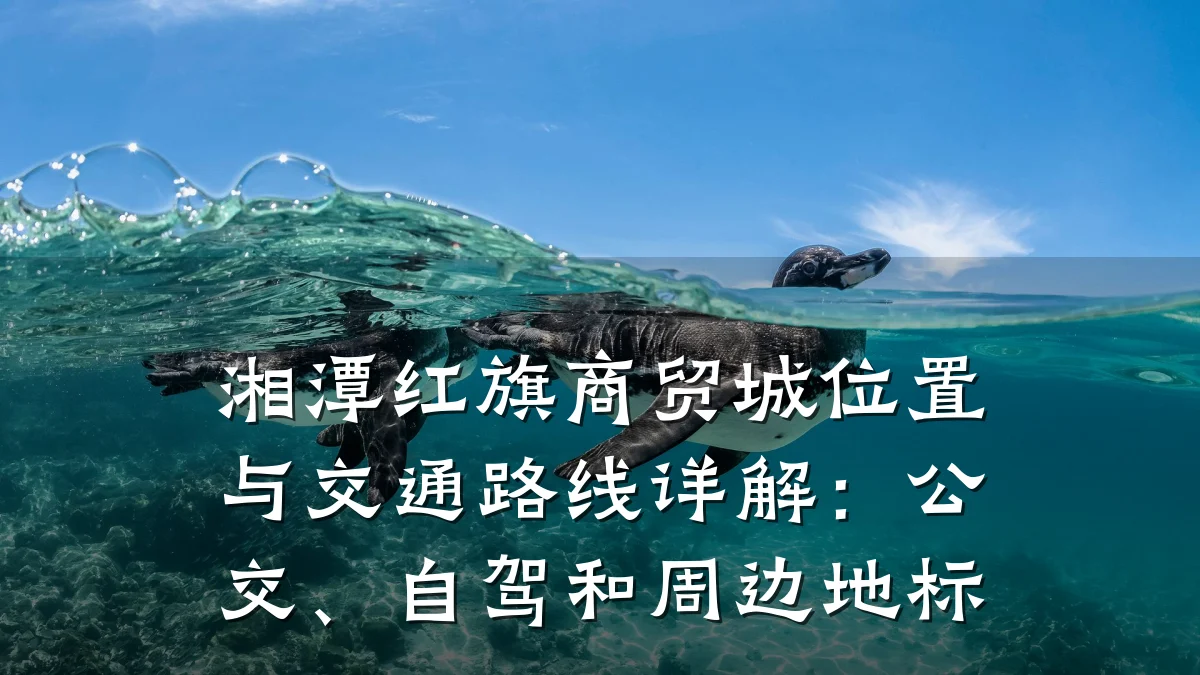 湘潭红旗商贸城位置与交通路线详解:公交、自驾和周边地标