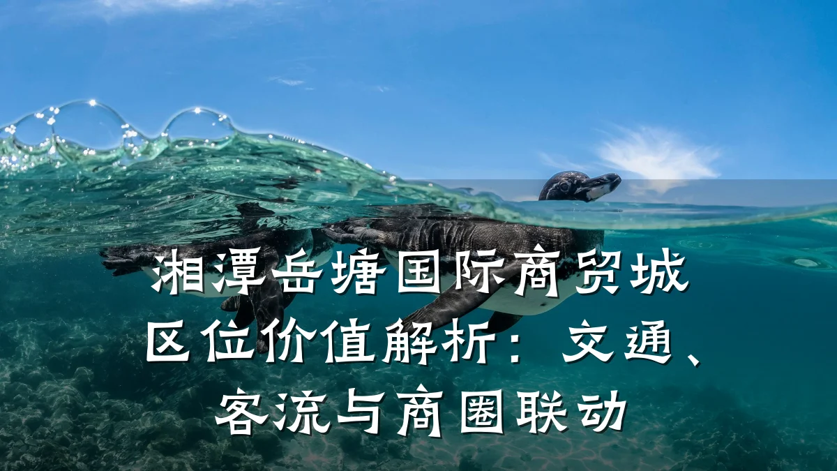 湘潭岳塘国际商贸城区位价值解析:交通、客流与商圈联动