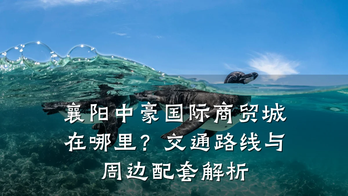 襄阳中豪国际商贸城在哪里？交通路线与周边配套解析