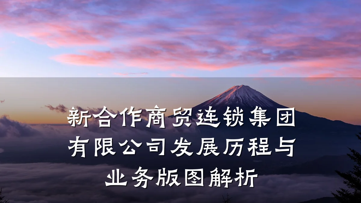 新合作商贸连锁集团有限公司发展历程与业务版图解析