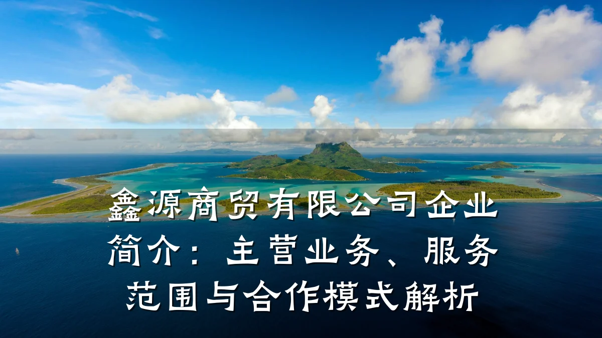 鑫源商贸有限公司企业简介：主营业务、服务范围与合作模式解析
