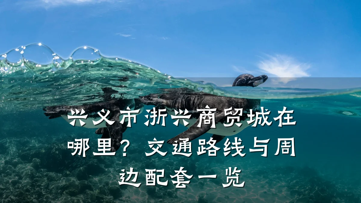 兴义市浙兴商贸城在哪里?交通路线与周边配套一览