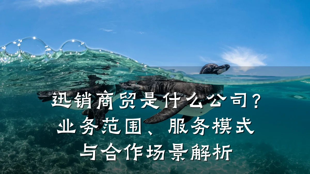 迅销商贸是什么公司？业务范围、服务模式与合作场景解析