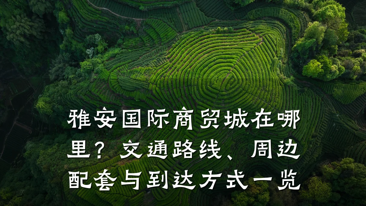 雅安国际商贸城在哪里?交通路线、周边配套与到达方式一览