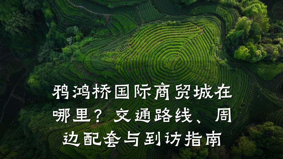 鸦鸿桥国际商贸城在哪里?交通路线、周边配套与到访指南