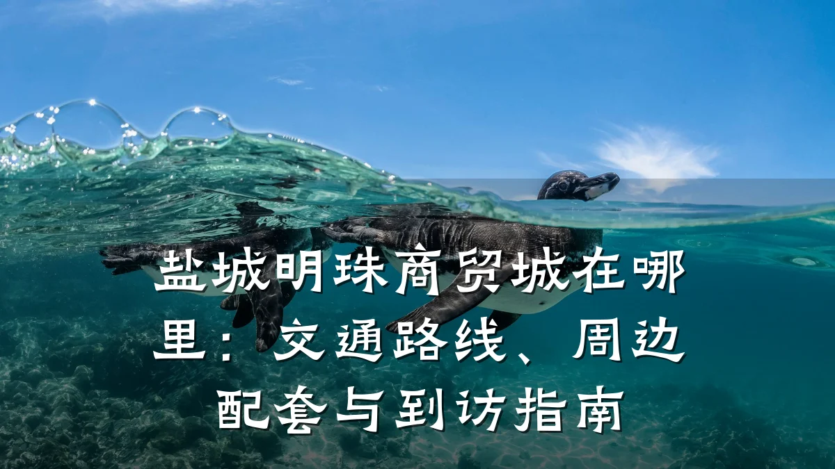 盐城明珠商贸城在哪里:交通路线、周边配套与到访指南