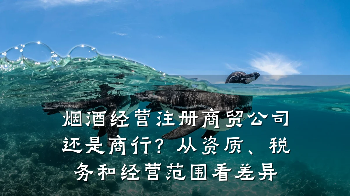 烟酒经营注册商贸公司还是商行?从资质、税务和经营范围看差异
