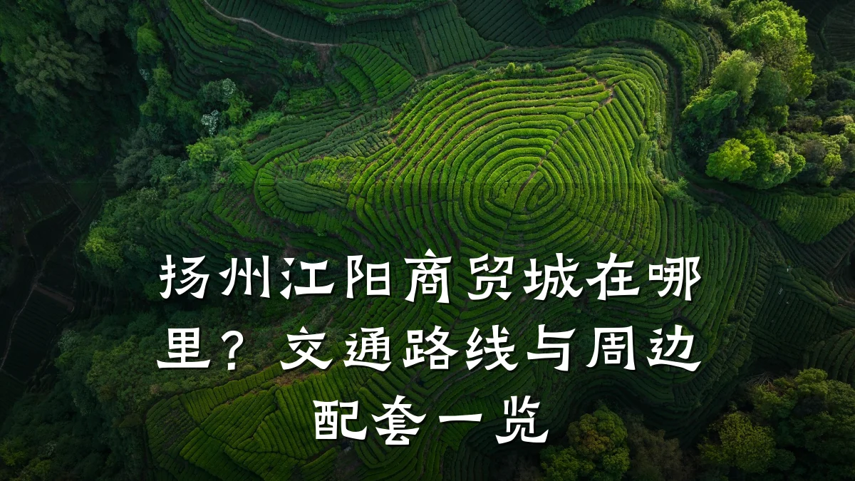 扬州江阳商贸城在哪里？交通路线与周边配套一览