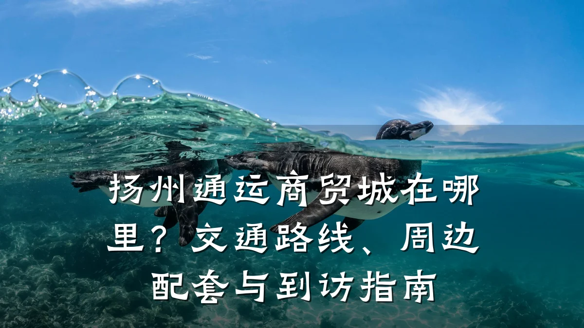 扬州通运商贸城在哪里?交通路线、周边配套与到访指南