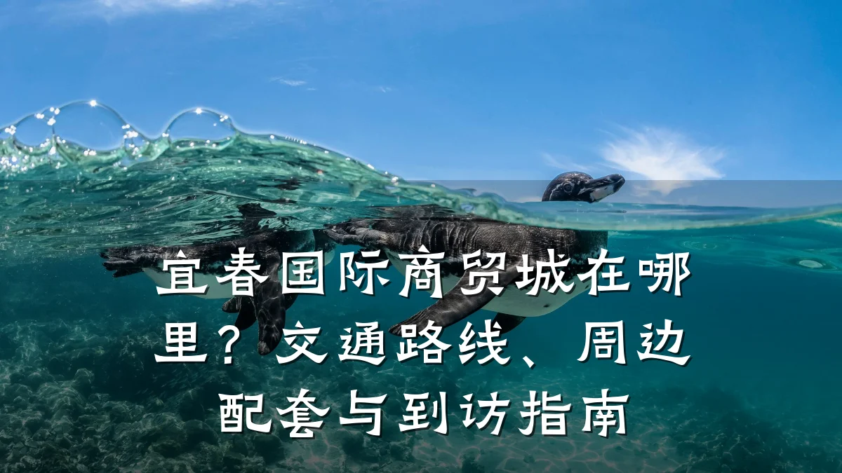 宜春国际商贸城在哪里?交通路线、周边配套与到访指南
