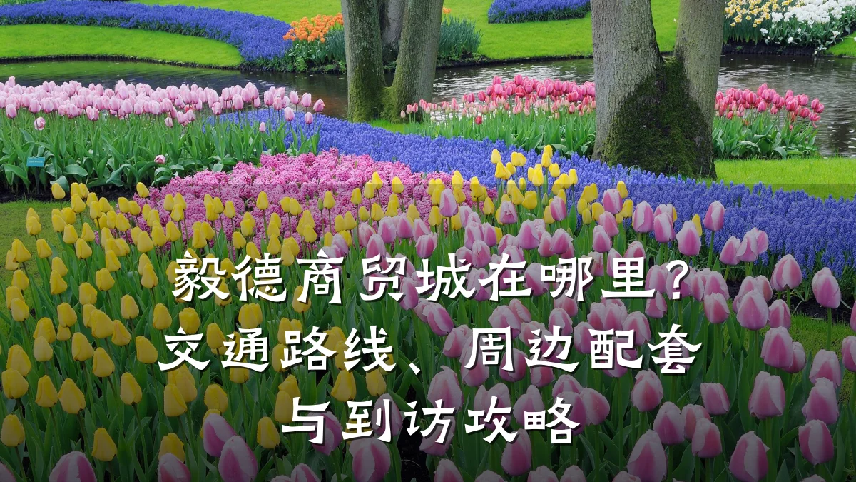 毅德商贸城在哪里？交通路线、周边配套与到访攻略