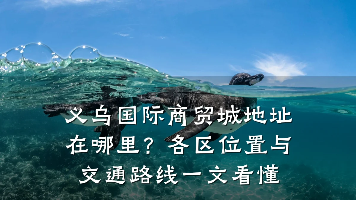 义乌国际商贸城地址在哪里?各区位置与交通路线一文看懂