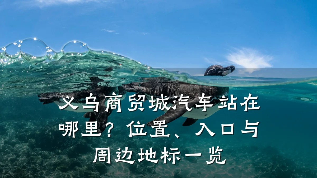 义乌商贸城汽车站在哪里?位置、入口与周边地标一览