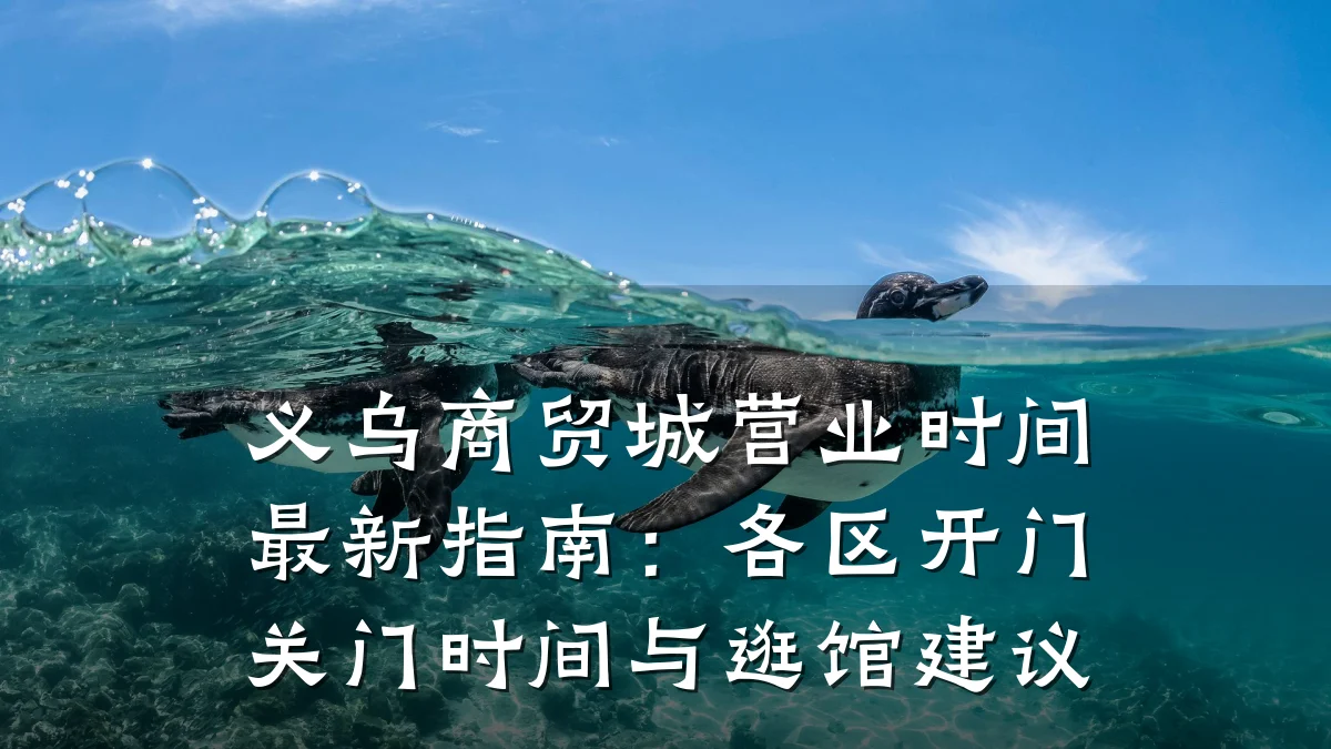 义乌商贸城营业时间最新指南:各区开门关门时间与逛馆建议