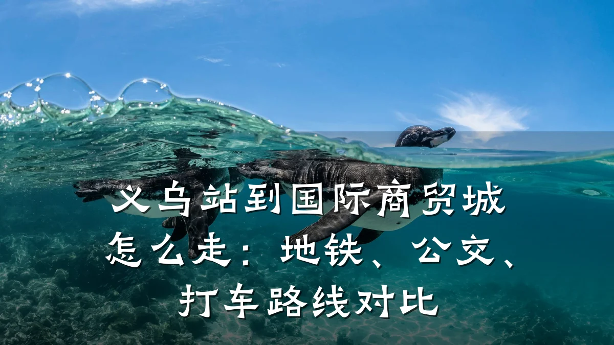 义乌站到国际商贸城怎么走:地铁、公交、打车路线对比