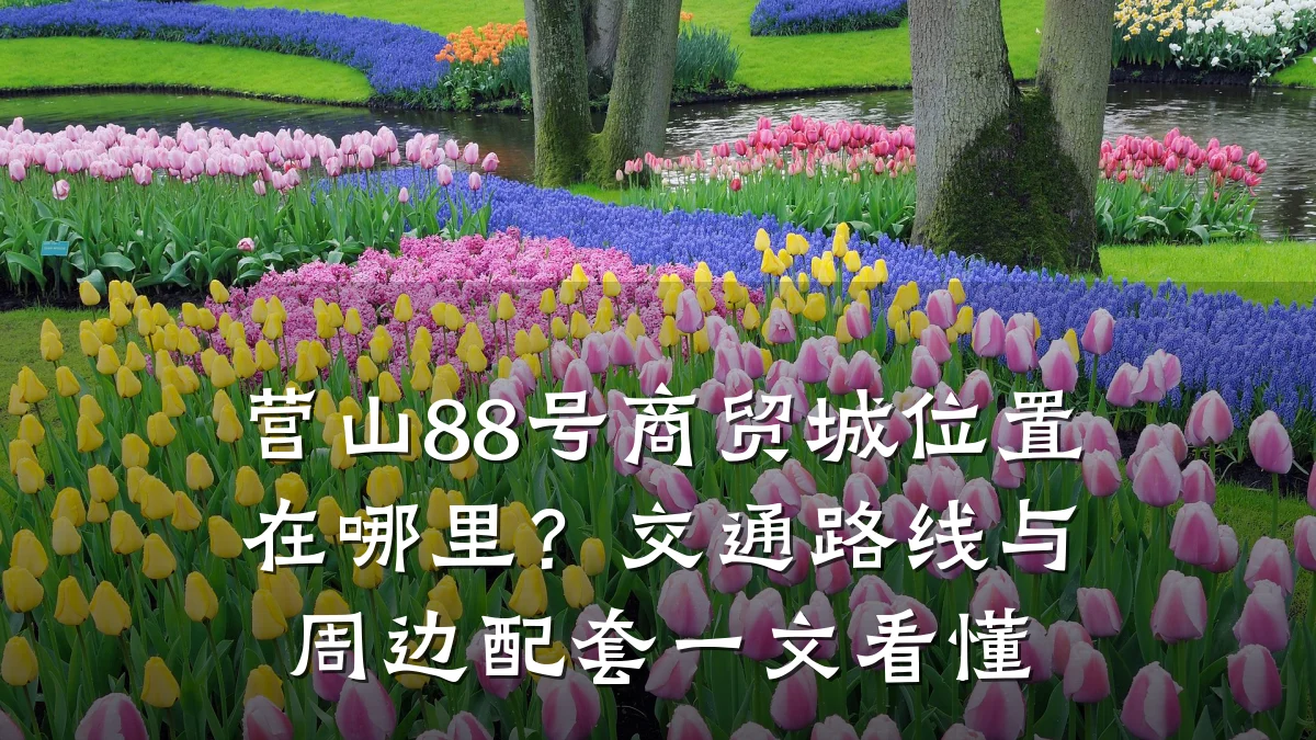 营山88号商贸城位置在哪里？交通路线与周边配套一文看懂