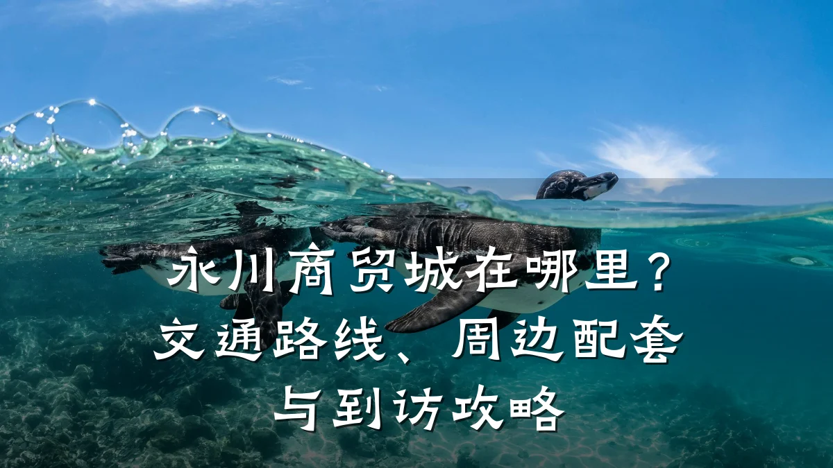永川商贸城在哪里?交通路线、周边配套与到访攻略