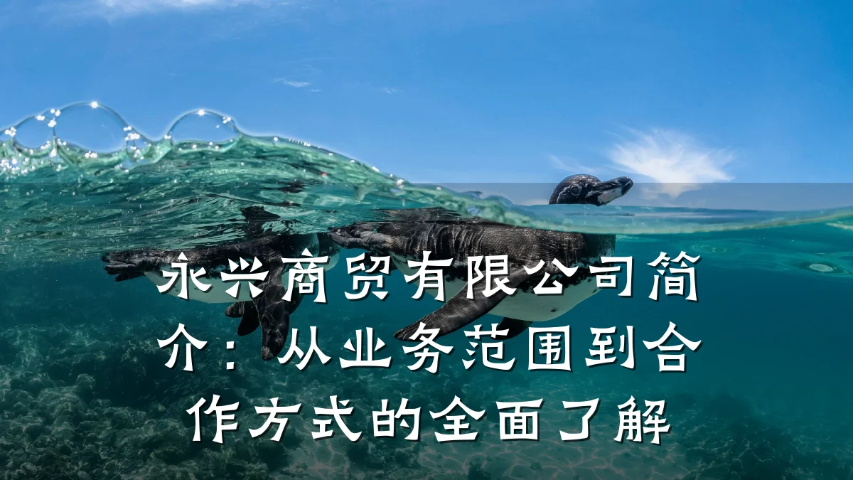 永兴商贸有限公司简介：从业务范围到合作方式的全面了解