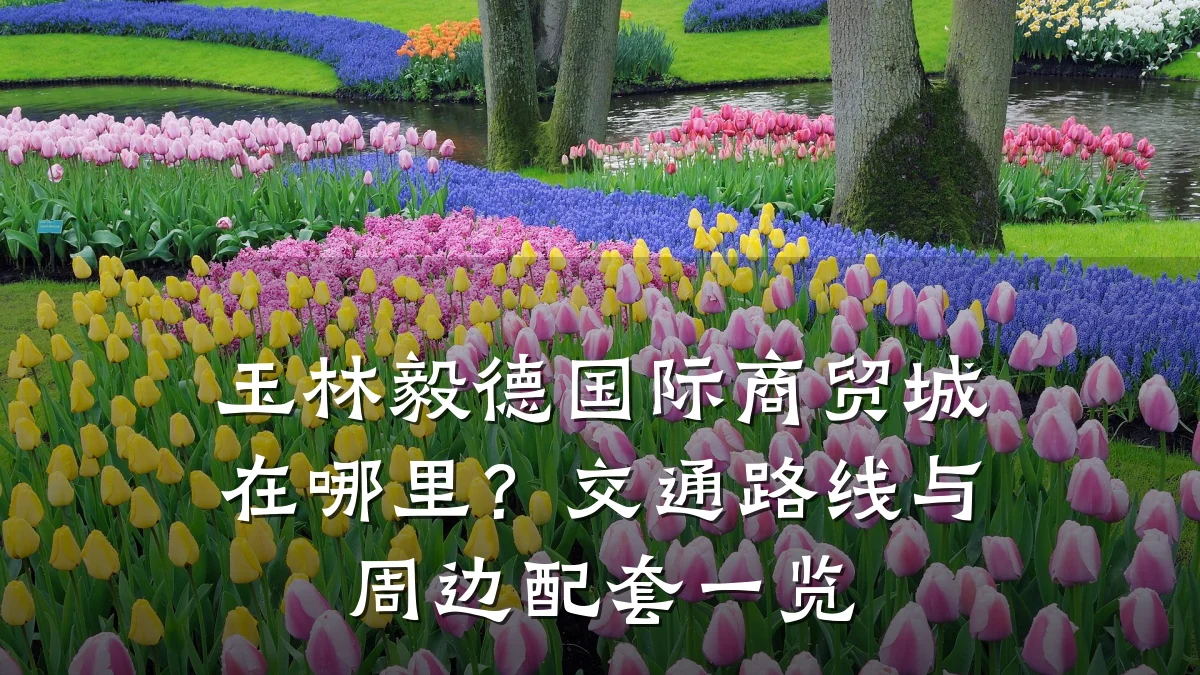 玉林毅德国际商贸城在哪里?交通路线与周边配套一览