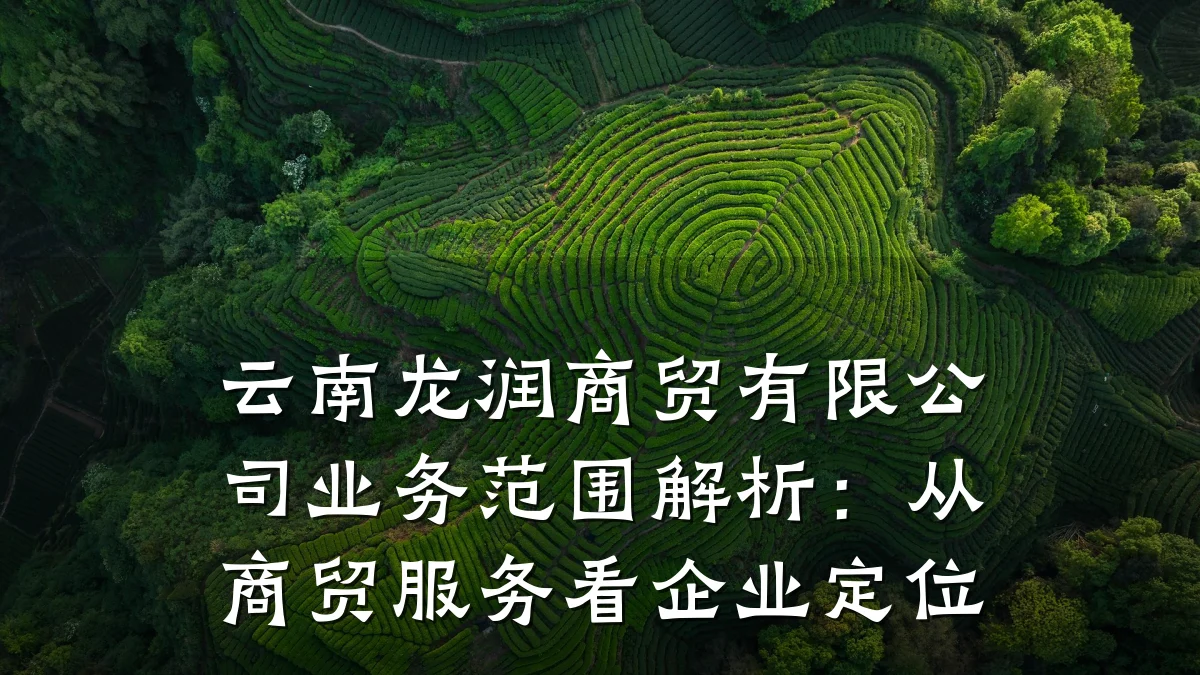 云南龙润商贸有限公司业务范围解析:从商贸服务看企业定位