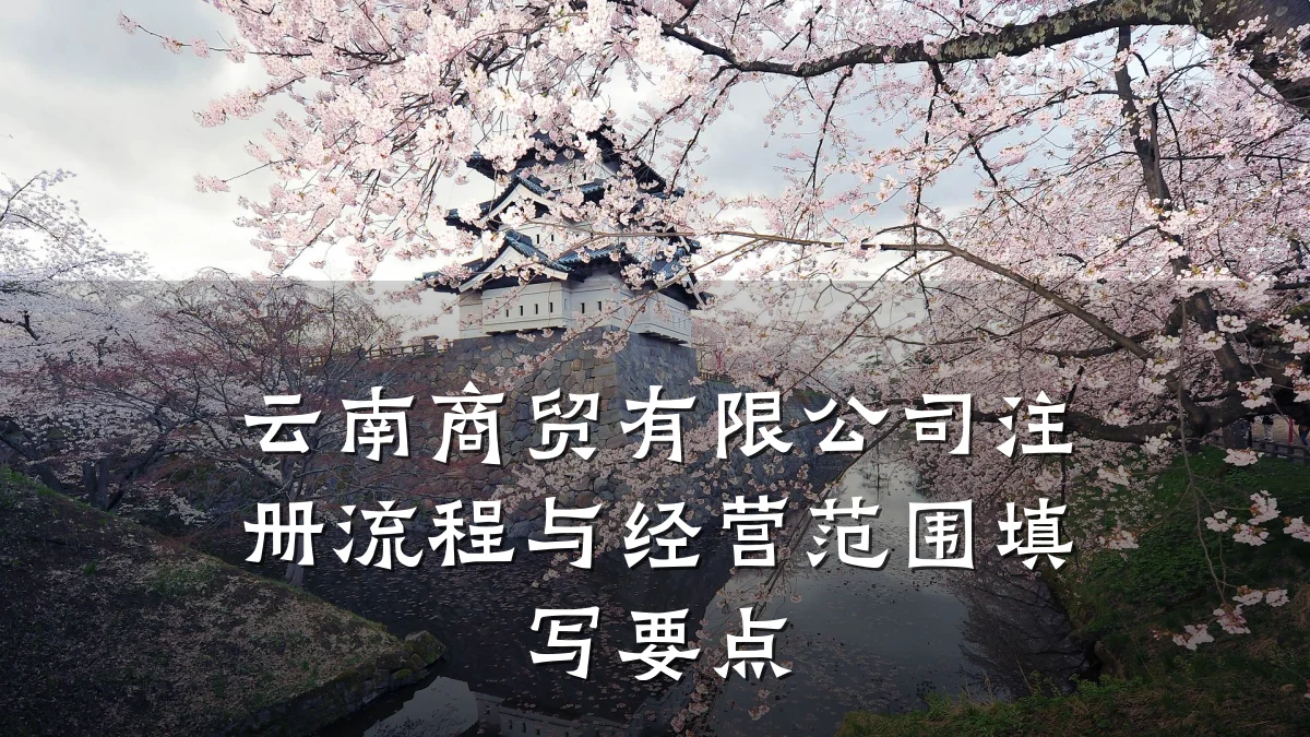 云南商贸有限公司注册流程与经营范围填写要点