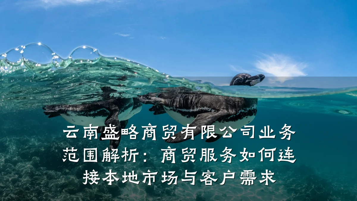 云南盛略商贸有限公司业务范围解析:商贸服务如何连接本地市场与客户需求