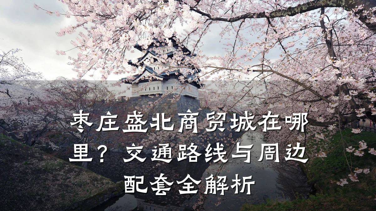 枣庄盛北商贸城在哪里?交通路线与周边配套全解析