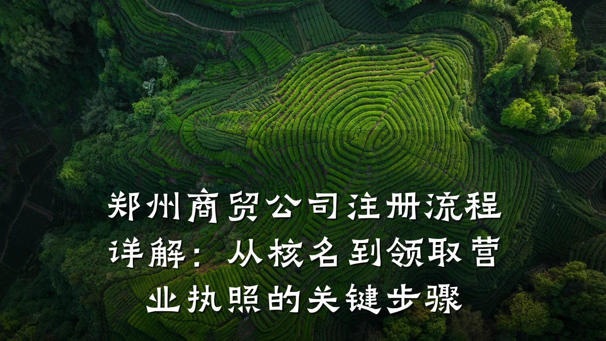 郑州商贸公司注册流程详解:从核名到领取营业执照的关键步骤