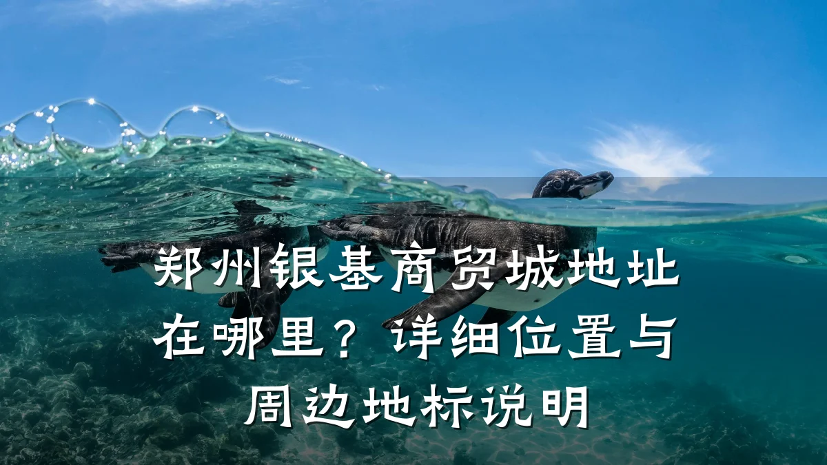 郑州银基商贸城地址在哪里?详细位置与周边地标说明