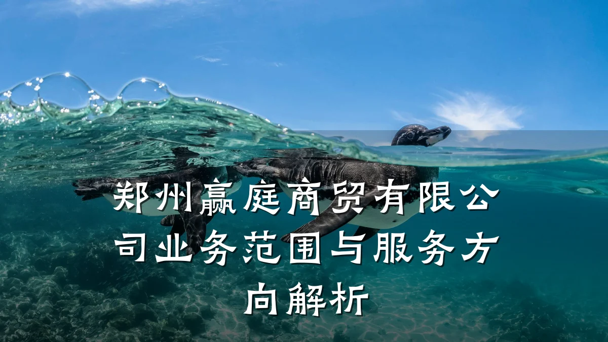 郑州赢庭商贸有限公司业务范围与服务方向解析