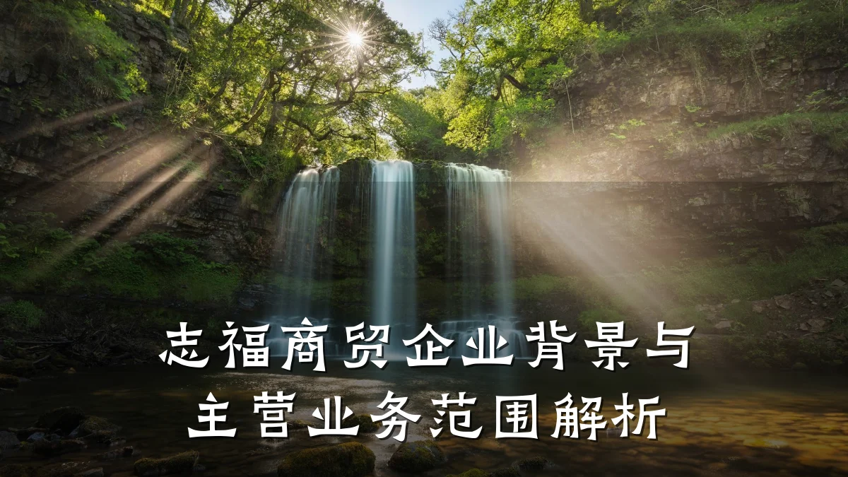 志福商贸企业背景与主营业务范围解析
