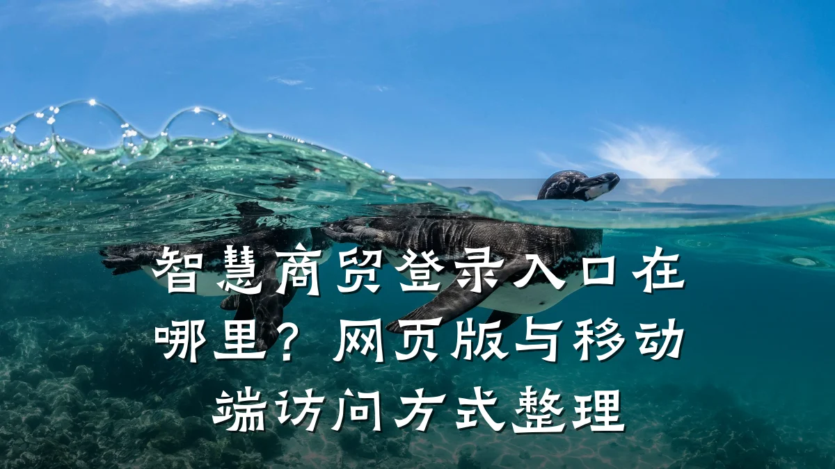 智慧商贸登录入口在哪里？网页版与移动端访问方式整理