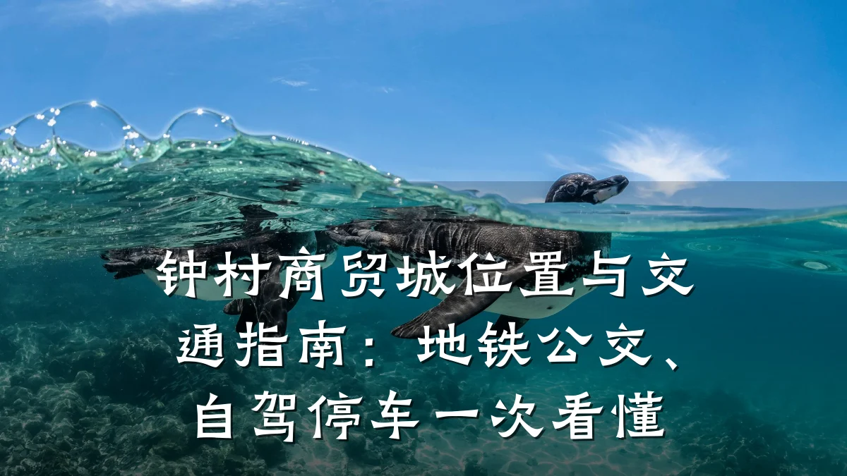 钟村商贸城位置与交通指南:地铁公交、自驾停车一次看懂