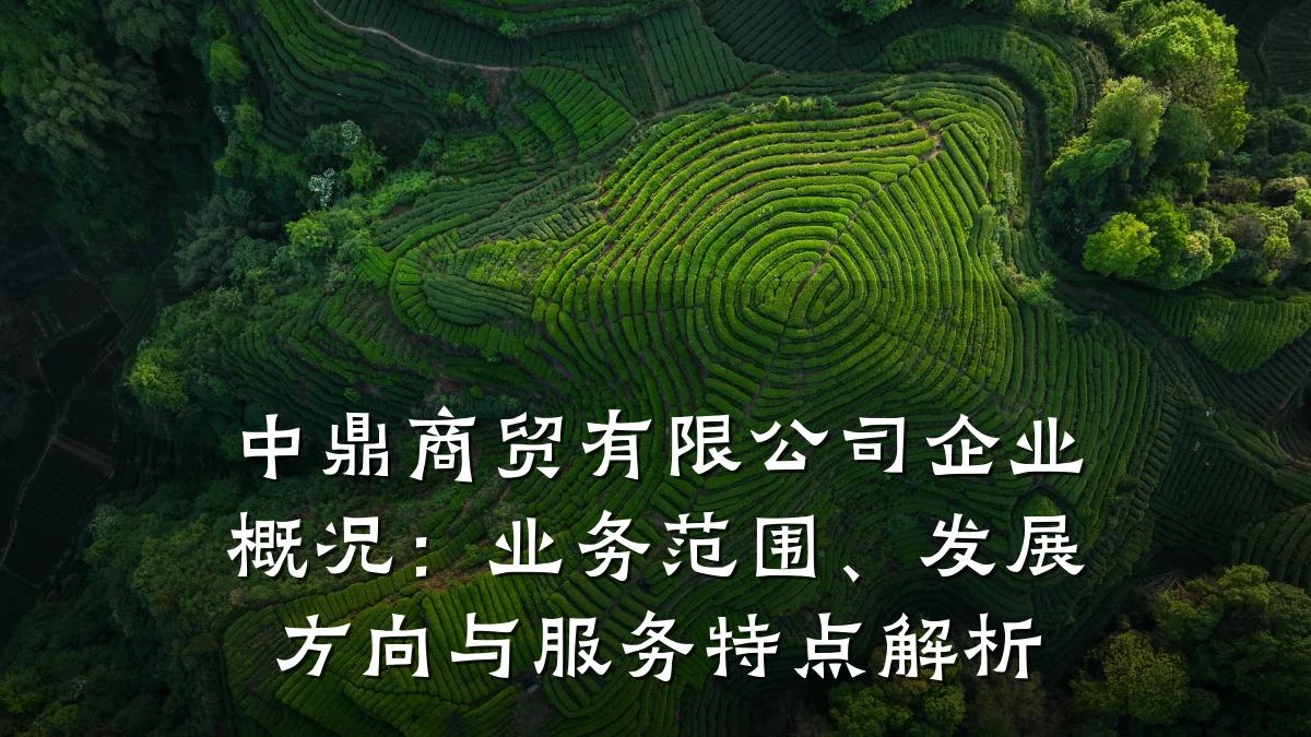 中鼎商贸有限公司企业概况：业务范围、发展方向与服务特点解析