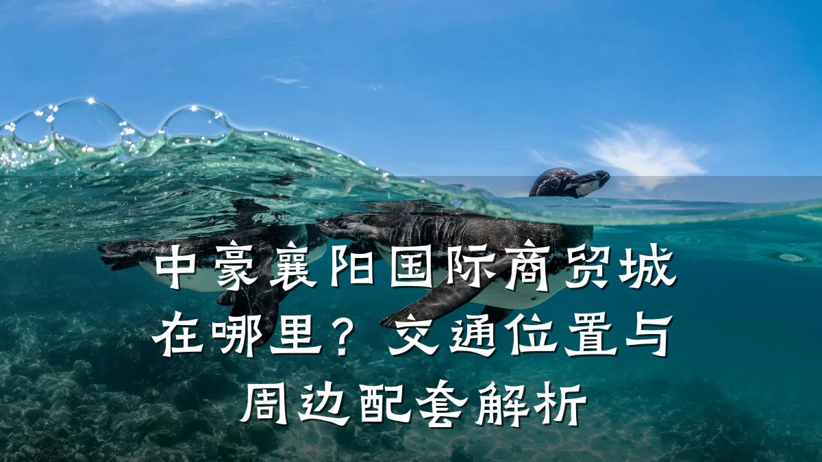 中豪襄阳国际商贸城在哪里?交通位置与周边配套解析