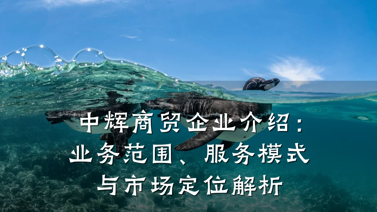 中辉商贸企业介绍:业务范围、服务模式与市场定位解析
