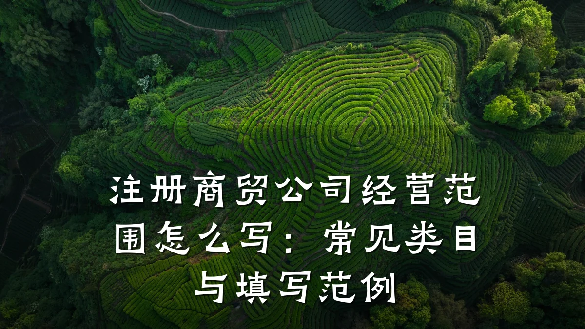 注册商贸公司经营范围怎么写：常见类目与填写范例