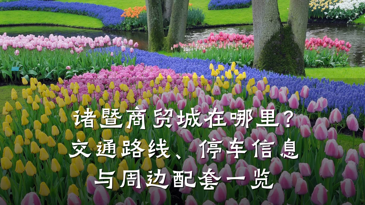 诸暨商贸城在哪里?交通路线、停车信息与周边配套一览