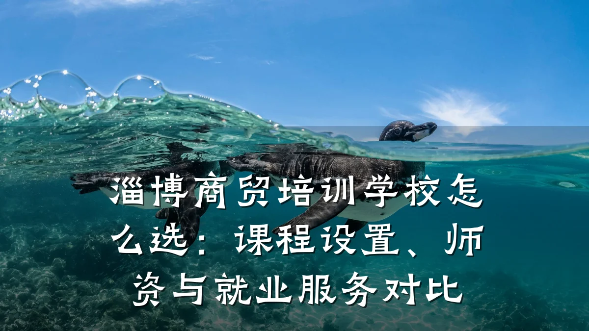 淄博商贸培训学校怎么选：课程设置、师资与就业服务对比