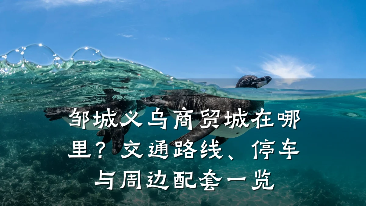 邹城义乌商贸城在哪里?交通路线、停车与周边配套一览
