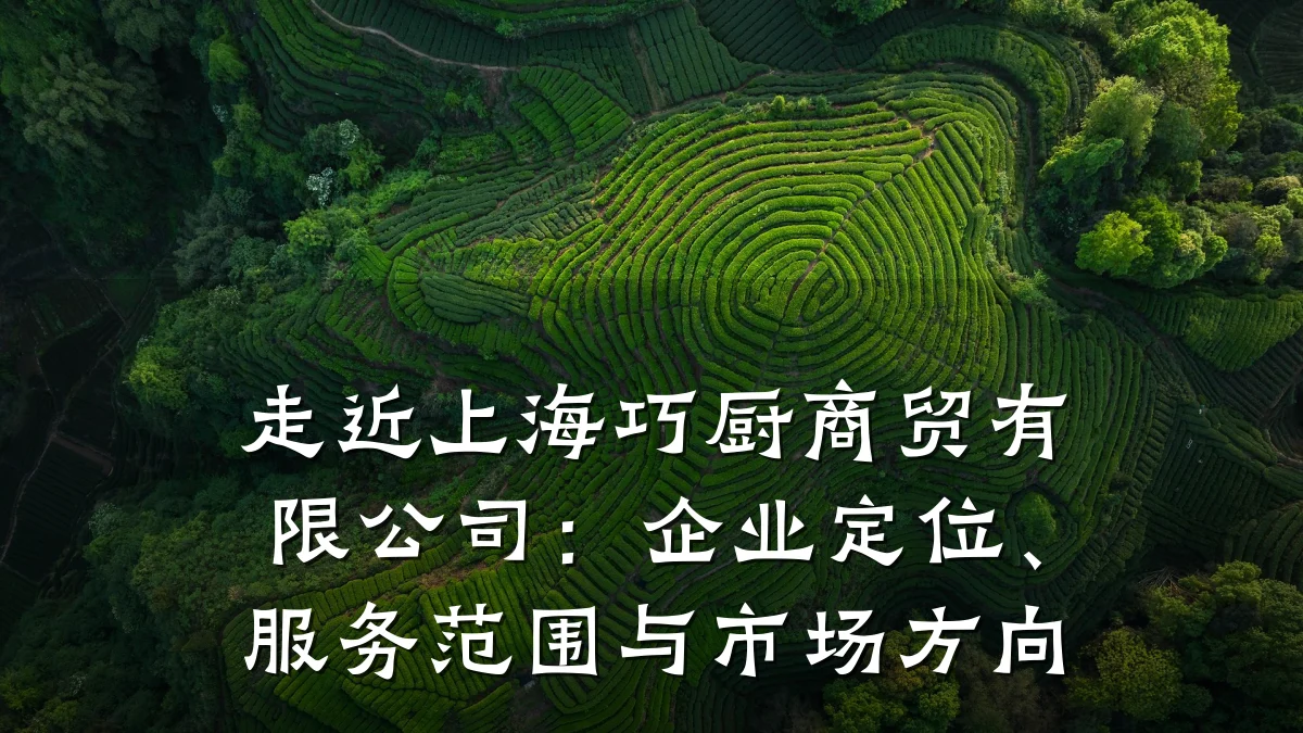 走近上海巧厨商贸有限公司:企业定位、服务范围与市场方向