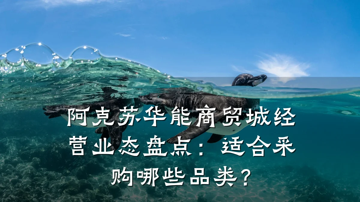 阿克苏华能商贸城经营业态盘点:适合采购哪些品类?