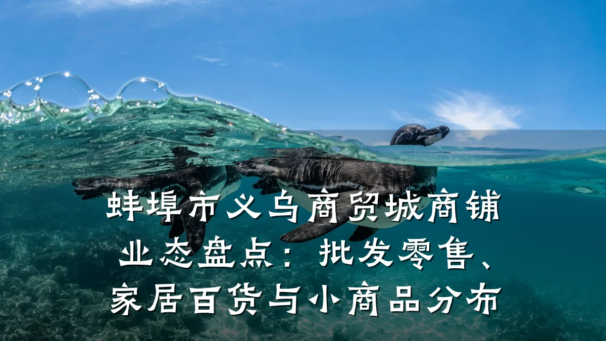 蚌埠市义乌商贸城商铺业态盘点：批发零售、家居百货与小商品分布