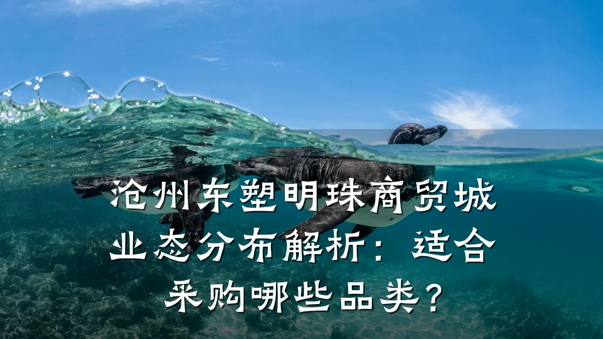 沧州东塑明珠商贸城业态分布解析:适合采购哪些品类?
