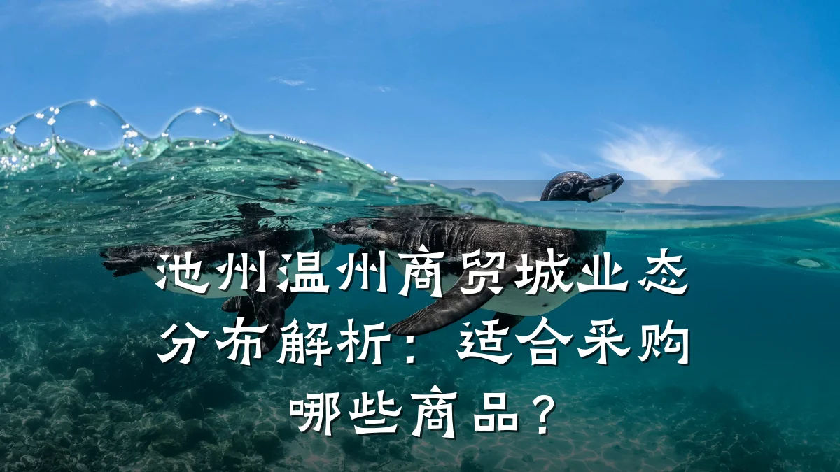 池州温州商贸城业态分布解析:适合采购哪些商品?