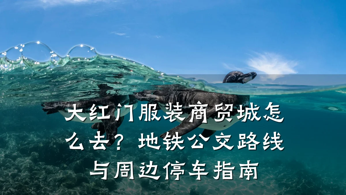 大红门服装商贸城怎么去?地铁公交路线与周边停车指南