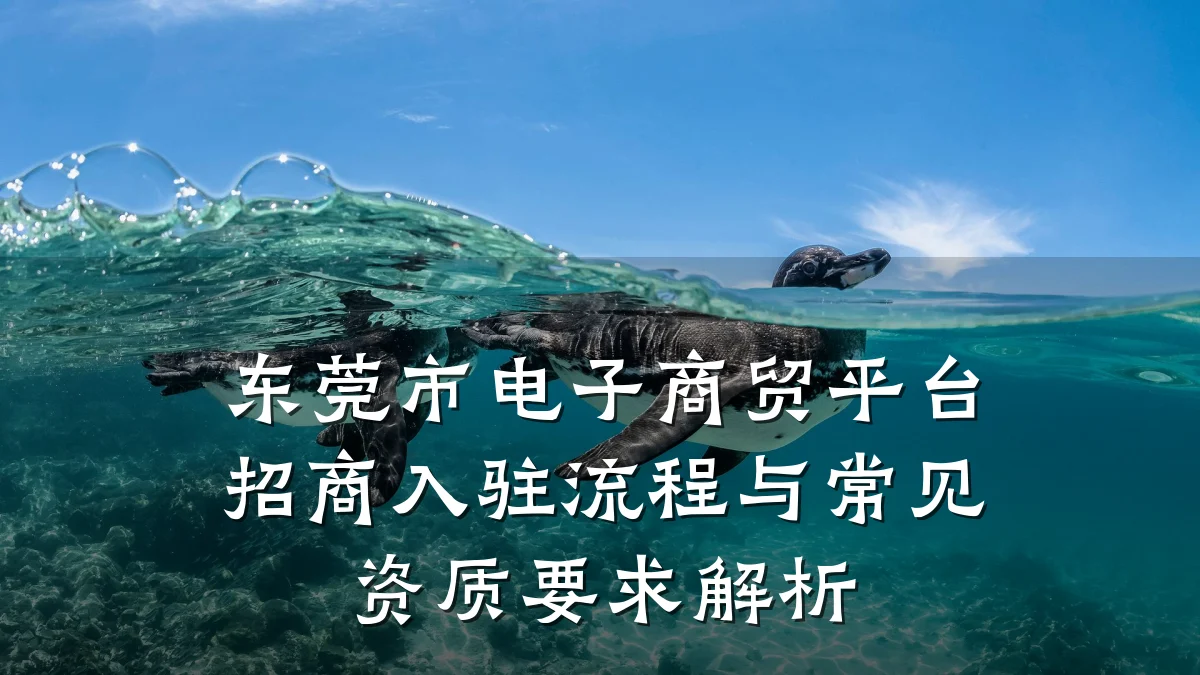 东莞市电子商贸平台招商入驻流程与常见资质要求解析
