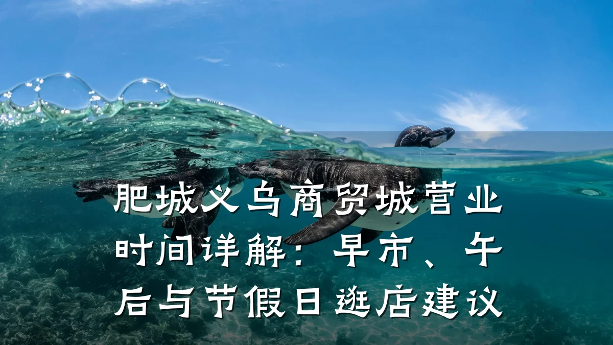 肥城义乌商贸城营业时间详解:早市、午后与节假日逛店建议