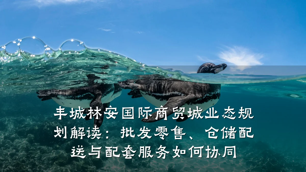 丰城林安国际商贸城业态规划解读:批发零售、仓储配送与配套服务如何协同